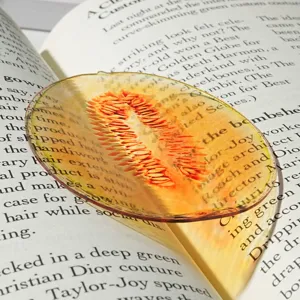 Transparent acrylic melon slice bookmark detail showing vibrant fruit pattern and translucent texture.