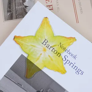 Translucent acrylic starfruit bookmark, beautiful fruit page marker for students and book lovers.
