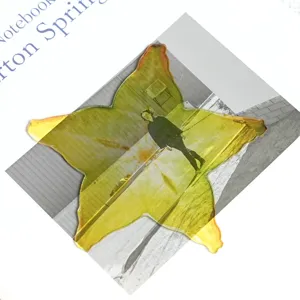 Translucent acrylic starfruit bookmark for reading, aesthetic student book page marker decor.