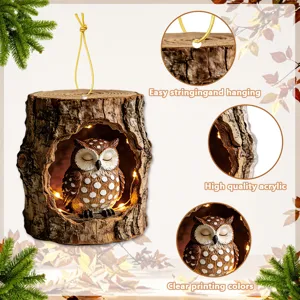 Detailed view of the acrylic owl tree hole hanging pendant showing clear printing and hanging cord.