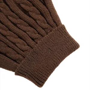 Détail de manchon de pull pour chien en tricot torsadé marron, texture de vêtements d'hiver chauds.