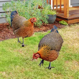 Acrylic chicken yard art garden stakes outdoor decorative lawn ornaments for backyard decor
