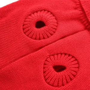 Gros plan detail tricot pull chien rouge, texture vetement animal hiver cosy.