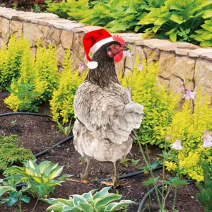 Acrylic chicken yard art stake with Christmas hat, perfect for outdoor garden decor decoration.