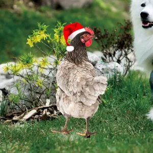 Detailed shot of acrylic chicken yard stake in garden, showing double-sided holiday decor.