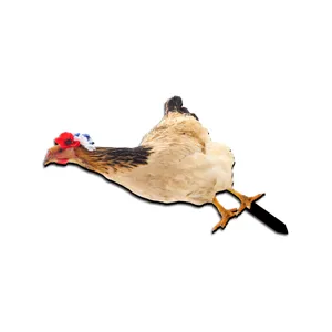 Chicken garden stake detail, acrylic yard art with floral decor for outdoor lawn decoration.
