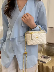 Elegant quilted chain crossbody vanity bag for women, stylish shoulder handbag with gold hardware.