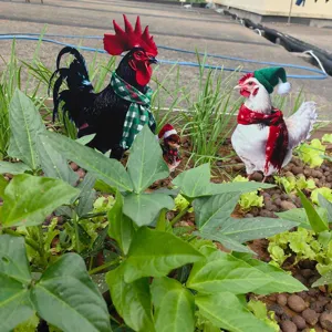 Metal chicken yard art garden stakes, outdoor decorative iron Christmas animal statues.
