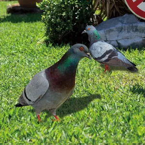 Metal pigeon yard art stake outdoor garden lawn decoration metal animal sculpture ornament