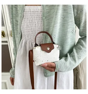 Mini canvas crossbody handbag with top handle and brown leather flap for daily use.