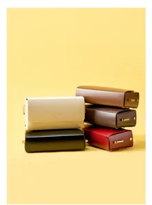 Minimalist leather crossbody bag, stylish women's shoulder bag with multi-color options.