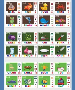 Kids educational English word spelling cards and math learning flashcards for parent child.
