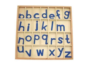 Montessori wooden movable alphabet sorting box for early childhood education and letter learning.