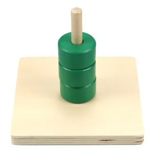 Montessori wooden educational toy for toddlers, early learning shape sorting peg toy for kids.