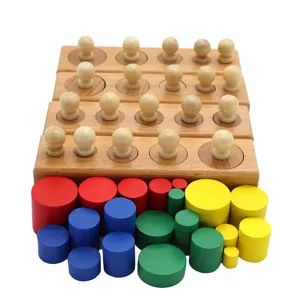 Montessori wooden cylinder blocks socket matching sensory toy for early childhood education.