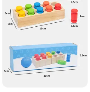 Wooden Montessori color matching toy set with blocks and storage box for kids early learning