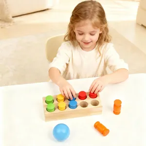Montessori wooden color matching sorting toy for toddlers, early learning educational puzzle toy.