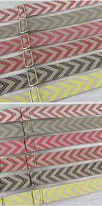 Vue détaillée de la bandoulière de rechange à motif de flèches avec boucles métalliques.