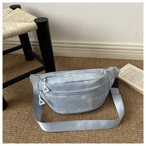 Light blue patterned fashion crossbody bag with wide strap, casual everyday casual waist pack.
