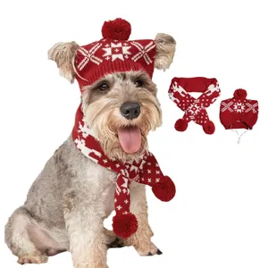 Vue detaillee d un animal portant un ensemble de bonnet et echarpe de noel en tricot.