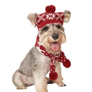 Joli ensemble bonnet et écharpe en tricot de Noël pour chiens et chats, accessoire chaud.