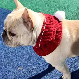 Cute dog winter knitted scarf with white pom-pom, warm pet clothing accessory for French bulldog.