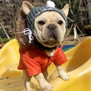 Cute pet winter warm hat and orange coat set for dogs, perfect for french bulldog and small pets.