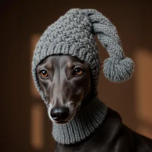 Cozy grey knitted dog hat with pom-pom, warm winter pet apparel for whippets and greyhounds.