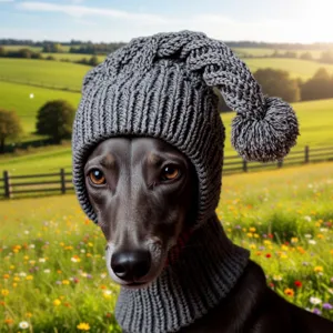 Handmade knitted pet hat for dogs and cats, cozy winter pet apparel with cute pom-pom design.