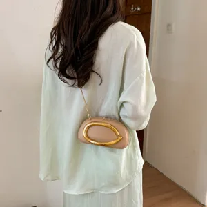 Chic minimalist women crossbody bag with elegant gold metal handle for evening party wear.