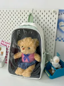 Detailed view of clear transparent backpack ita bag with cute plush teddy bear inside room setup