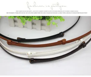 Detailed view of women thin leather dress belts in multi colors with adjustable metal buckles.