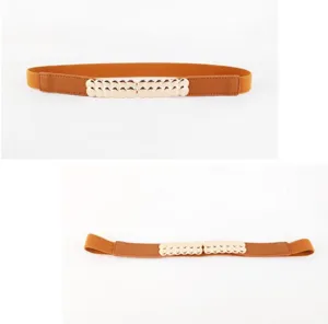 Women's brown elastic waist belt with gold metal buckle, stylish retro dress accessory.