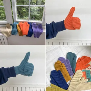 Bunte gefrickte Winterfäustlinge Detailansicht, zeigt warme Wollhandschuhe in bunten Farben.