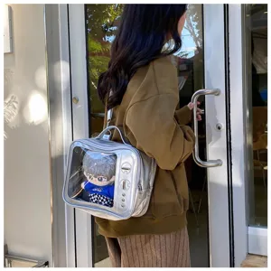 Detailed view of silver clear window ita bag displaying cute doll inside, perfect for anime.