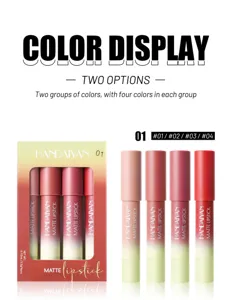 HANDAIYAN Set Rossetto Opaco Impermeabile Lunga Durata 4 Colori Scatola Trucco Nuovo