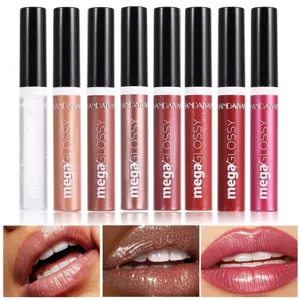 Brillant à Lèvres Liquide Nacré Scintillant Handaiyan Hydratant Longue Durée Rouge à Lèvres Maquillage Femmes