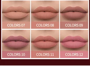 Set de rouge a levres liquide mat 12 couleurs velours impermable longue duree gloss