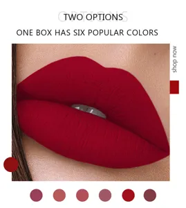 Matte lip gloss set waterproof long lasting 6 popular colors in one box lip makeup options