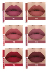 HANDAIYAN matte liquid lipstick set of 6 waterproof long lasting lip gloss shades detail view.