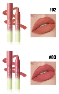 HANDAIYAN matter Lippenstift Stift wasserdicht langanhaltend Lipliner Nuance 02 03