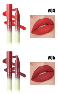 HANDAIYAN wasserfester matter Lippenstift Stift Detailansicht mit Farbmustern und Lippen.