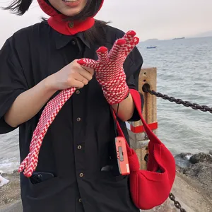 Detail view of red and white checkered knit gloves and matching knitted bag in outdoor setting.
