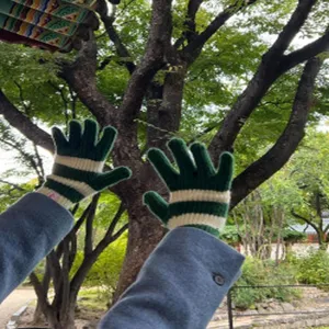 Detailaufnahme von grün-weiß gestreiften Strickhandschuhen aus warmem Wollmaterial.