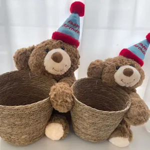Nordic Handwoven Seagrass Storage Basket Straw Planter Cover Flower Pot For Indoor Outdoor Plant Home Decor Laundry Organizer Basket