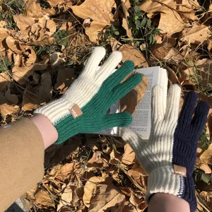 Women color block knit gloves winter warm touch screen woolen gloves fashion winter gear