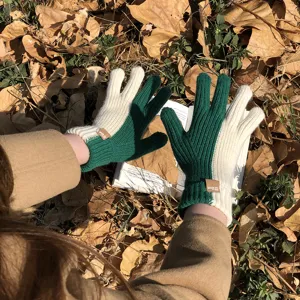 Stylish colorblock knit gloves for women, cozy winter warm wool touch screen gloves detail.
