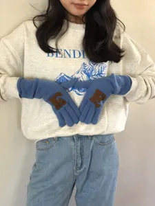 Gestrickte Fingerhandschuhe mit Buchstaben-Patches, Detailaufnahme der feinen Textur.