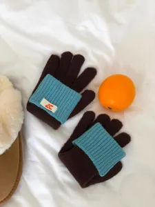 Gedetailleerd overzicht van kleurechte winterhandschoenen, gezellig breisel met blauwe boorden.