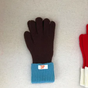 Detailopname van winterse kleurenblok gebreide handschoenen voor dames in bruin blauw met label.